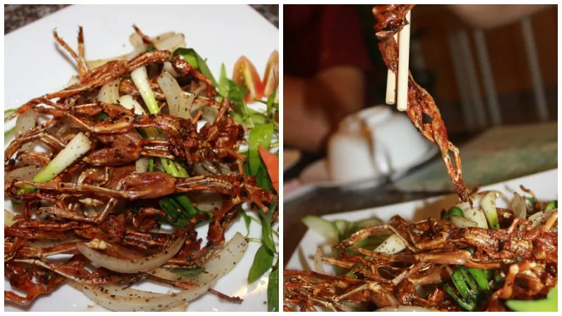 10 món ăn độc lạ ở Việt Nam, không phải ai cũng biết