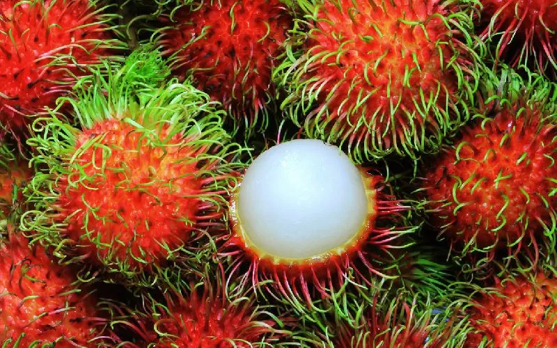 10 trái cây ngon nhất thế giới, có 3 loại người Việt nào cũng đã ăn