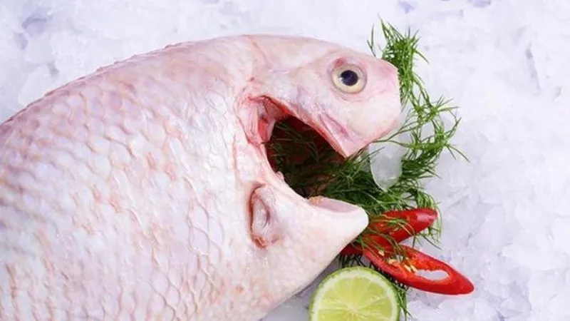 100g cá diêu hồng bao nhiêu calo? Ăn cá diêu hồng có béo không?