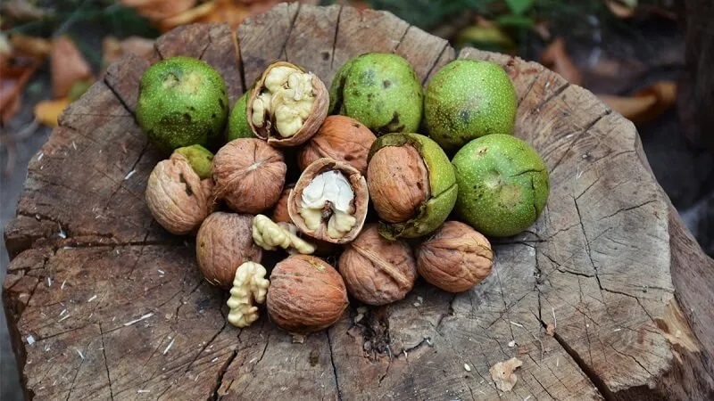 100g hạt óc chó bao nhiêu calo? Ăn hạt óc chó có béo (mập) không?