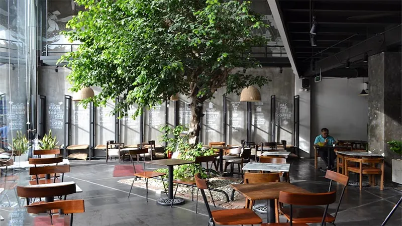 20 quán cafe ở khu Thảo Điền thích hợp cho bạn làm việc, học tập hoặc thư giãn