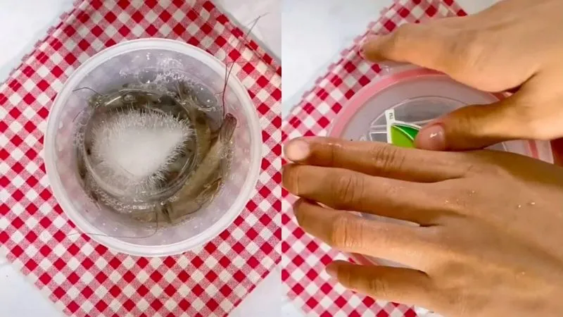 Bảo quản tôm theo 3 cách này dù có để tủ lạnh lâu vẫn tươi ngọt như mới