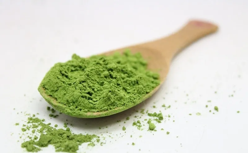 Bột matcha và bột trà xanh có phải là một? Cách dùng ra sao?