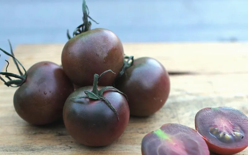 Cà chua đen có gì đặc biệt mà có giá 140.000 đồng/kg vẫn cháy hàng