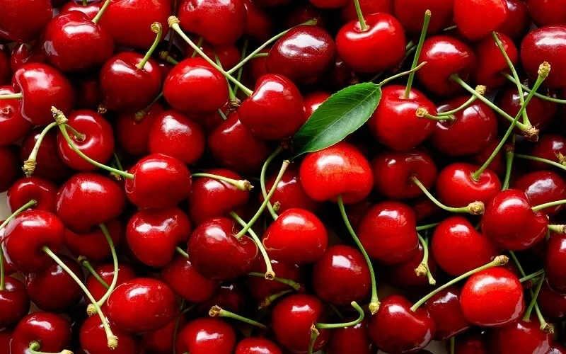 Các loại Cherry phổ biến trên thế giới được ưa chuộng nhất