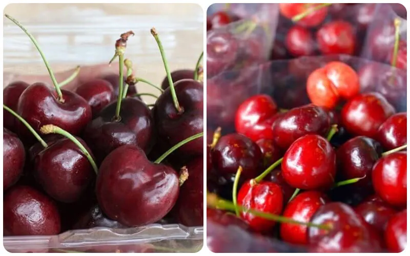 Các loại Cherry phổ biến trên thế giới được ưa chuộng nhất