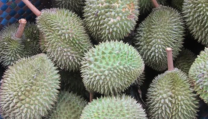 Các loại sầu riêng ở Việt Nam, loại sầu riêng nào ngon nhất?