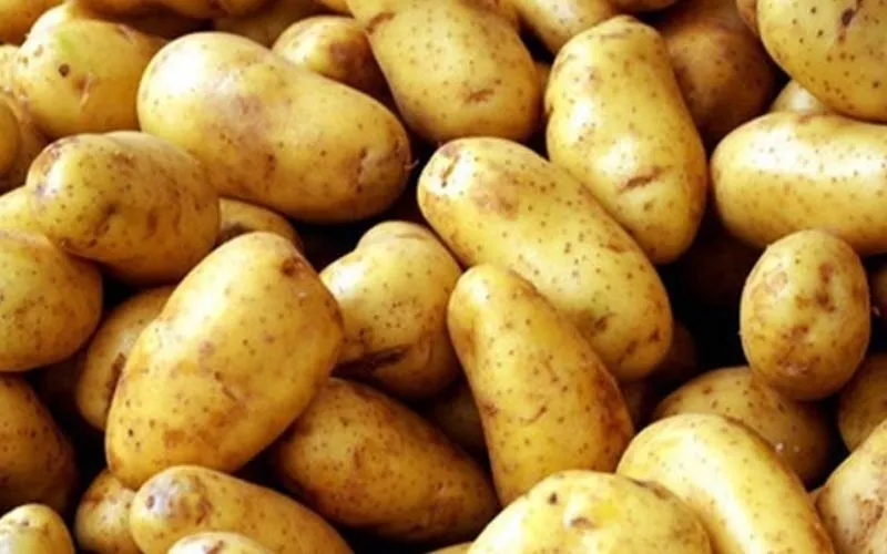 Cách chọn khoai tây tươi ngon, giàu chất dinh dưỡng
