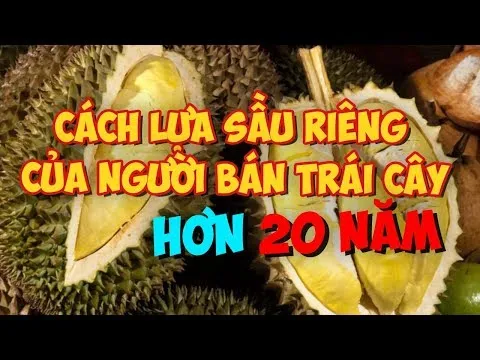 Cách chọn sầu riêng ngon nhất, nhiều múi, không thuốc ép chín