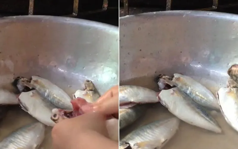 Cách làm cá ngân chiên giòn, ngon miệng cho bữa cơm gia đình