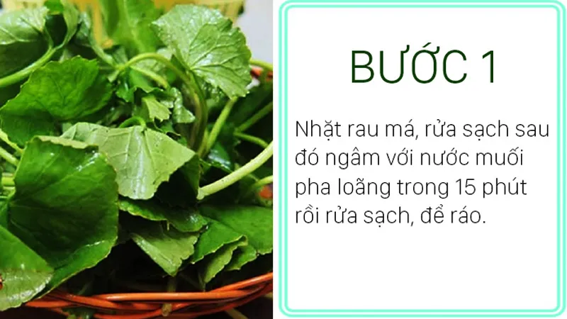 Cách làm nước ép rau má đậu xanh giải nhiệt cơ thể