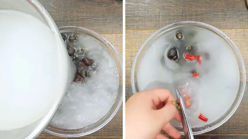 Cách làm ốc vặn nước cốt dừa béo ngậy, ấm lòng ngày mưa