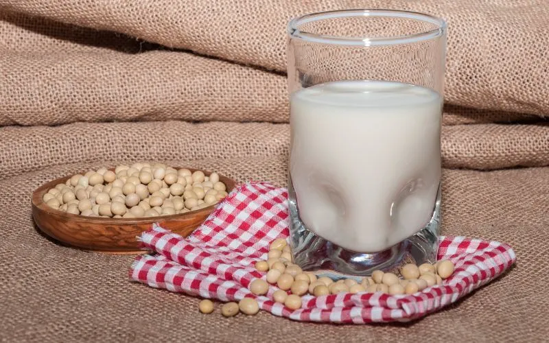 Cách làm sữa đậu nành bằng máy ép chậm thơm ngon, bổ dưỡng