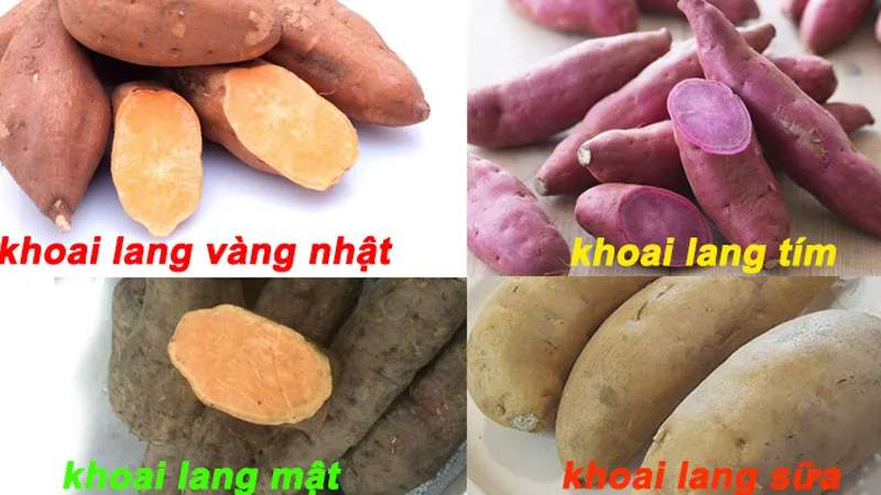 Cách nhận biết khoai lang mật với các loại khoai lang khác