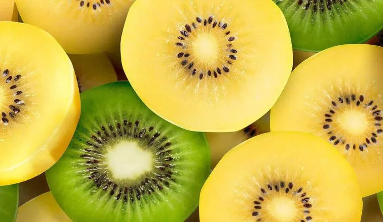 Cách phân biệt kiwi vàng và kiwi xanh – Loại nào tốt hơn?