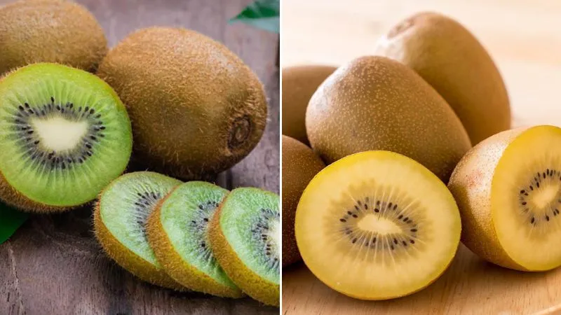 Cách phân biệt kiwi vàng và kiwi xanh – Loại nào tốt hơn?