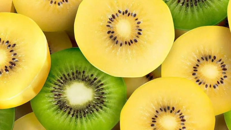 Cách phân biệt kiwi vàng và kiwi xanh – Loại nào tốt hơn?