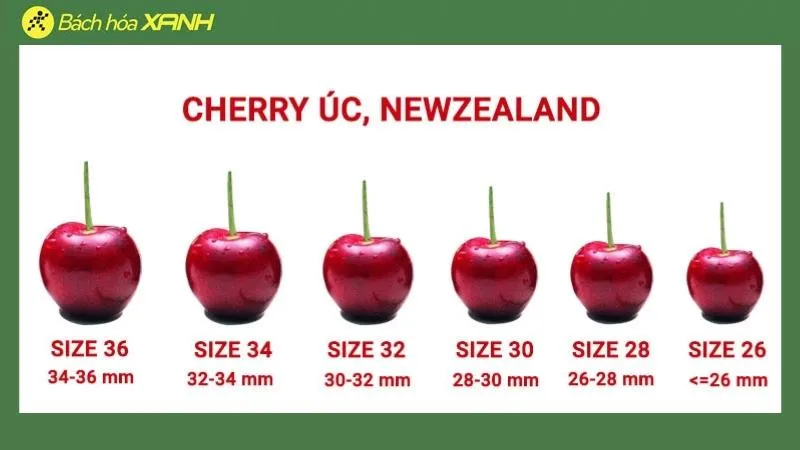 Cách phân biệt size Cherry – Cách chọn Cherry ngon theo size