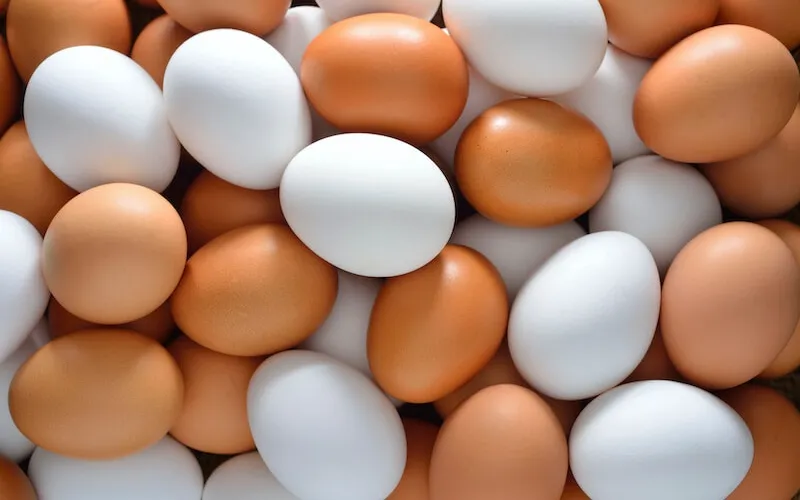 Cách phân biệt trứng gà ta và trứng gà công nghiệp đúng chuẩn không sợ bị lừa