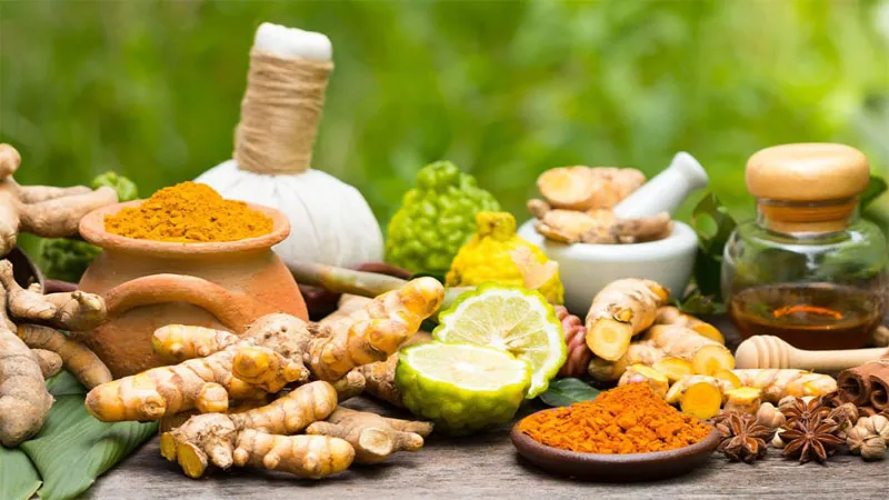 Chế độ ăn kiêng Ayurvedic là gì? Có lợi gì đối với sức khỏe