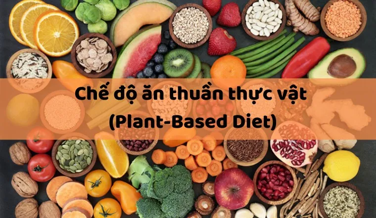 Chế độ ăn thuần thực vật là gì? Lợi ích và những điều cần lưu ý khi thực hiện