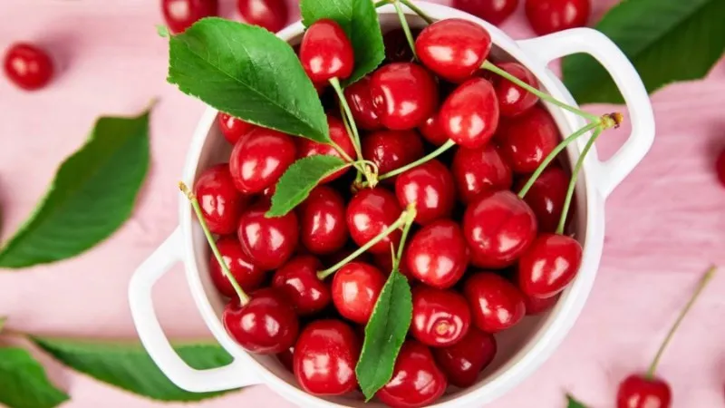 Cherry để được bao lâu? Cách bảo quản Cherry tươi lâu tại nhà