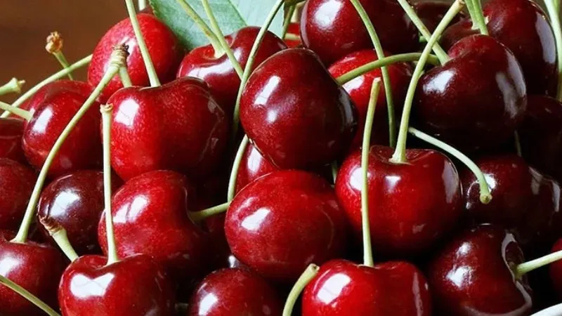 Cherry để được bao lâu? Cách bảo quản Cherry tươi lâu tại nhà