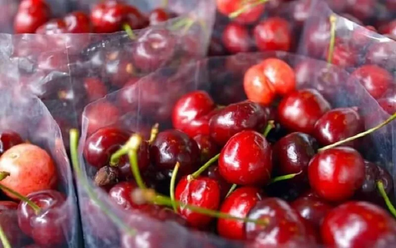 Cherry Trung Quốc: Đặc điểm, phân loại, giá Cherry Trung Quốc