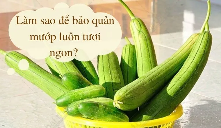 Đừng vội cho mướp vào tủ lạnh, làm theo cách này bảo đảm luôn tươi ngon