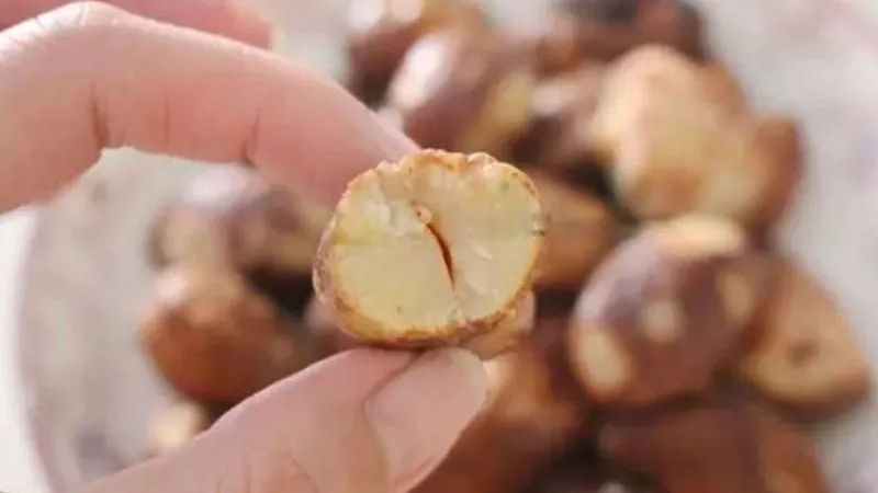 Hạt sầu riêng có ăn được không? Cách nướng hạt sầu riêng để làm món ăn vặt