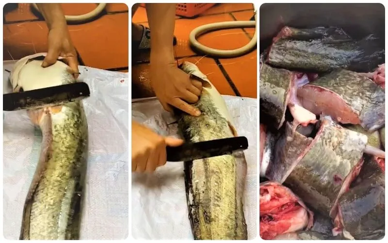 Học cách nấu món cá nheo nấu chuối dân dã ăn một lần nhớ mãi