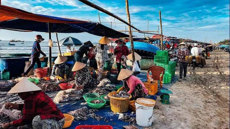Loài cá đặc sản Phú Yên dài cả mét khiến nhiều người tò mò, giá đắt đỏ