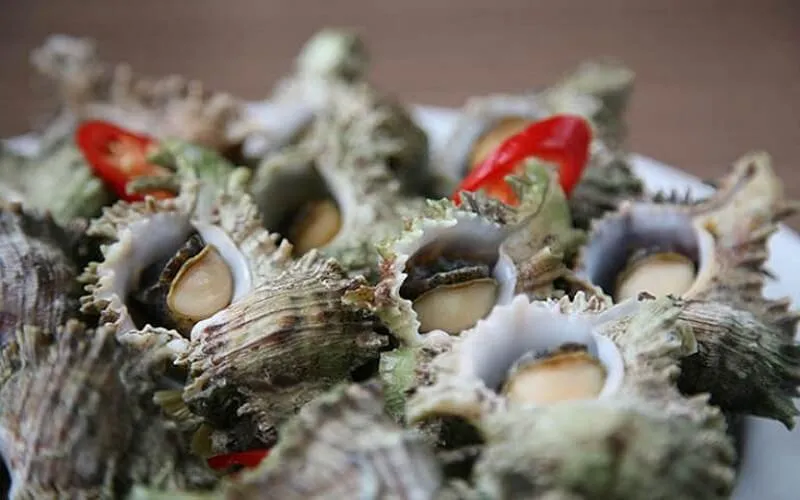 Loại ốc nổi tiếng Phú Quốc có hình dáng đặc biệt giá từ 270.000 đồng/kg