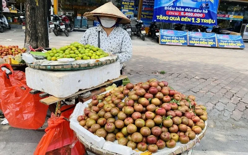 Mua mận Bắc (mận Hà Nội) ở đâu ngon, rẻ, uy tín taị TP. HCM?