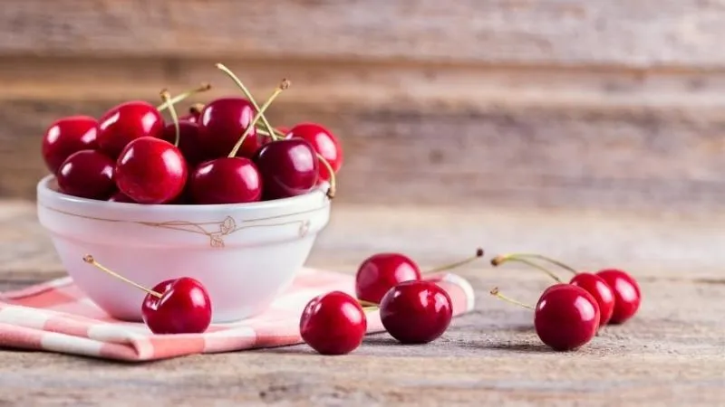 Mùa thu hoạch Cherry vào tháng mấy?