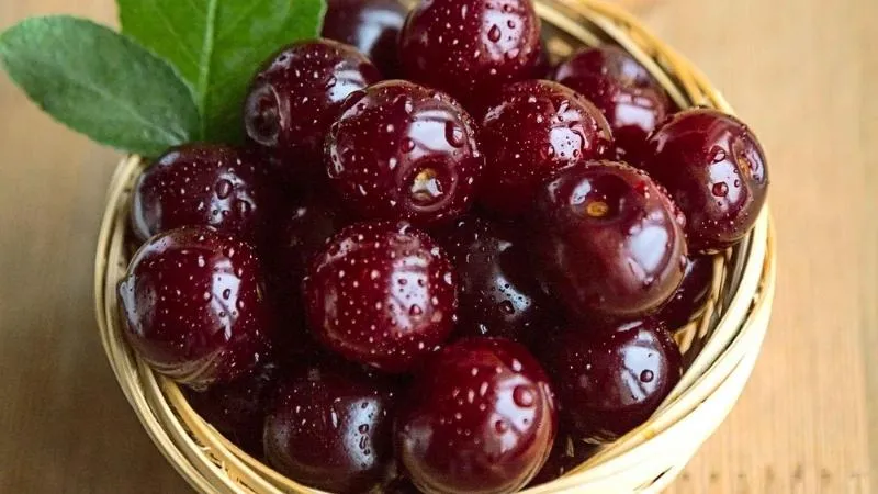 Mùa thu hoạch Cherry vào tháng mấy?