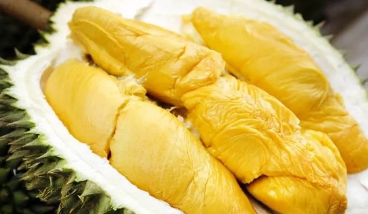 Sầu riêng musang king là gì? Cách chọn sầu riêng musang king ngon