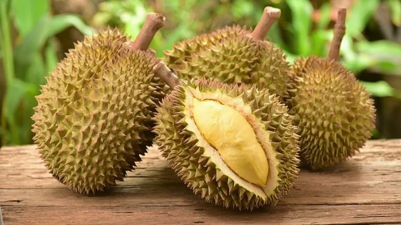 Sầu riêng musang king là gì? Cách chọn sầu riêng musang king ngon