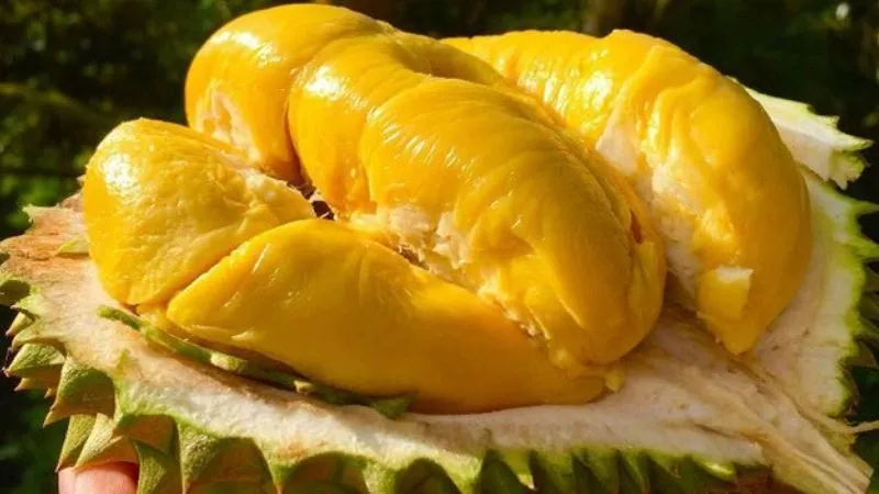 Sầu riêng musang king là gì? Cách chọn sầu riêng musang king ngon