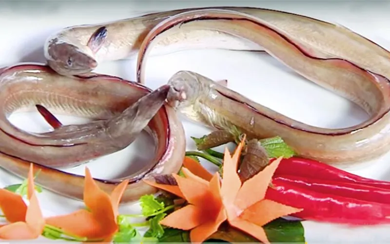 Thưởng thức gỏi cá dưa ngon nức tiếng làng biển xứ Thanh