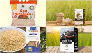 Tìm hiểu công dụng giảm cân của thơm và thực đơn giảm cân từ loại trái cây này