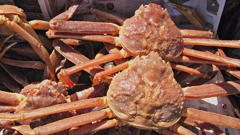 Tổng hợp tất cả các loại cua biển ăn được ngon, phổ biến nhất thế giới