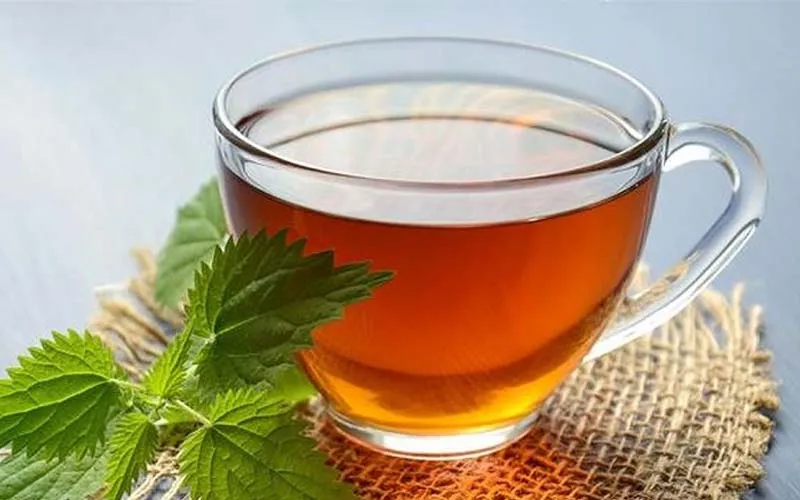 Trà lá mâm xôi là gì? Những ích lợi của trà lá mâm xôi