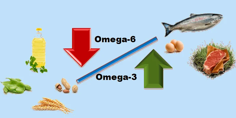 Tỷ lệ Omega 6/Omega 3 có ý nghĩa gì?