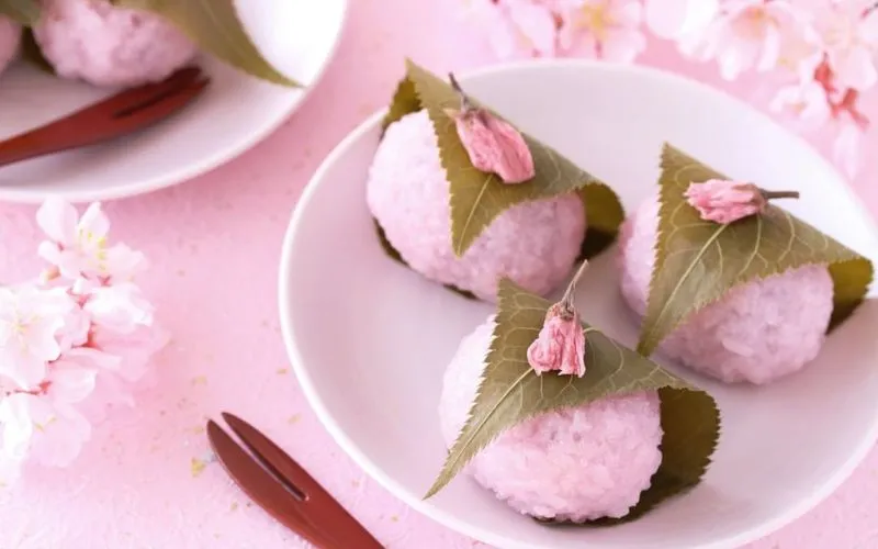 Wagashi: Tìm hiểu nguồn gốc, lịch sử và ý nghĩa của bánh