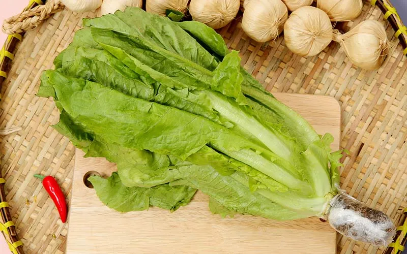 Xà lách Romaine là gì? Tác dụng tuyệt vời của xà lách Romaine